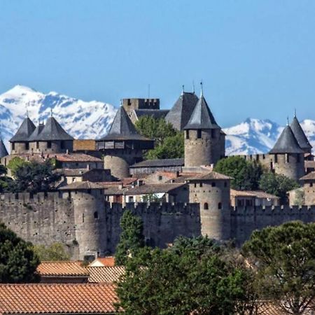 Maison spacieuse et calme près de la cité Villa Alairac Esterno foto