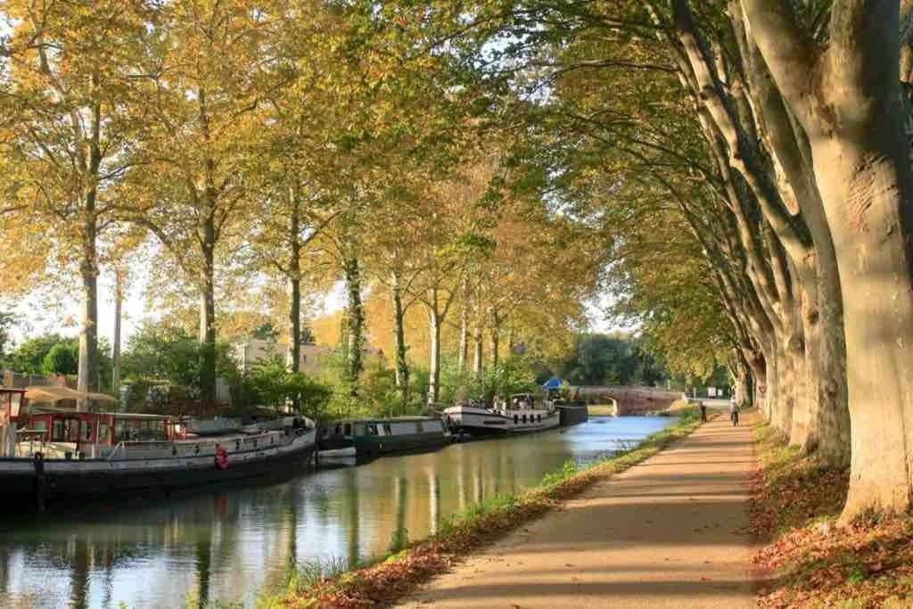 Maison spacieuse et calme près de la cité Villa Alairac Esterno foto