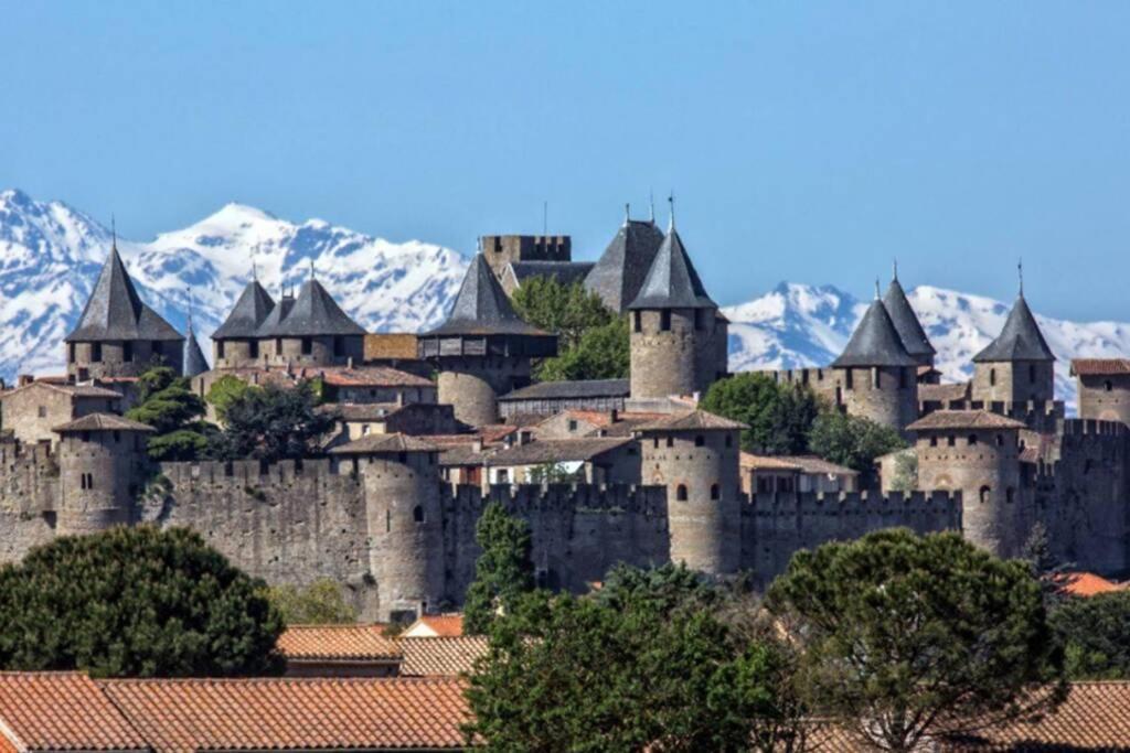Maison spacieuse et calme près de la cité Villa Alairac Esterno foto